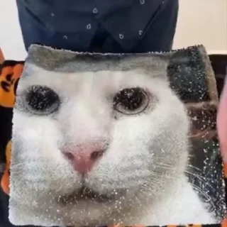 Video sticker 💀 @VLAGA_STICK 👈 Там ВСЕ стикеры❤️