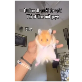 Video sticker 🤲 𝖆lch𝖊ϻist