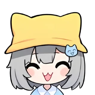 Video sticker 😆 家有鲨猫