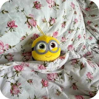 Video sticker 🛌 миньоны