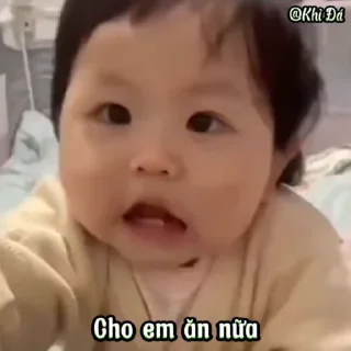 Video sticker 🌟 TỔNG HỢP GIF : Khỉ Đá 2 :: @fStikBot