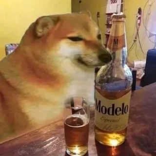 Telegram sticker 🥃 @Amritsar_wala_pb02's Pack 1