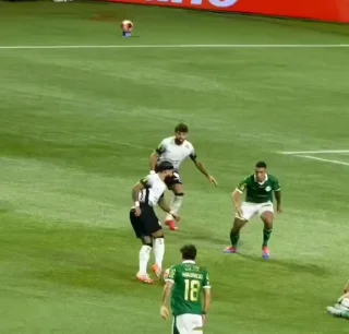 Video sticker 🌟 Timão @NewSccp :: @fStikBot