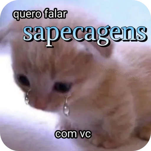Telegram stiker 🐱 Pack da Mariana 4.0 💁🏿‍♀️