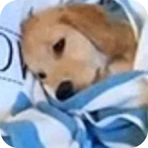 Sticker 🐶 Pack da Mariana 4.0 💁🏿‍♀️