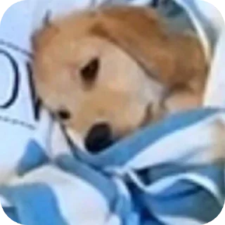 Sticker 🐶 Pack da Mariana 4.0 💁🏿‍♀️