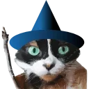 Video sticker 🤩 Куки @prem0emoji