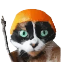 Video sticker 🤩 Куки @prem0emoji