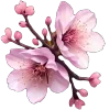 Video sticker 🌸 𝙬𝙤𝙬 @prem...