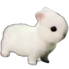 Video sticker 🐰 𝙬𝙤𝙬 @prem...