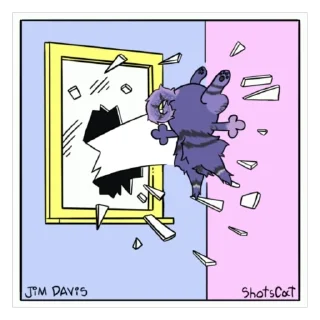 Телеграм стикер 🪟 Bluejay