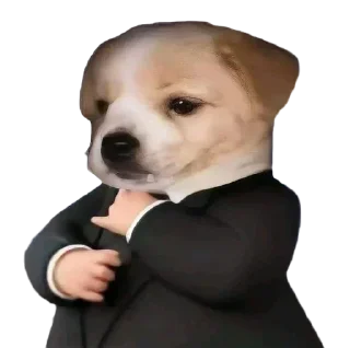 Telegram sticker 🕴 Rodri Steal Pack