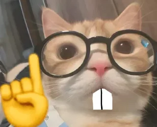 Sticker ☝️ Rodri Steal Pack