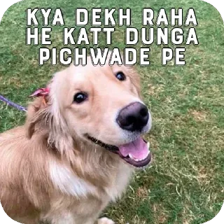 Telegram sticker 😀 𝐒𝐚𝐢𝐟𝐚𝐧⚡... (Special Pack)