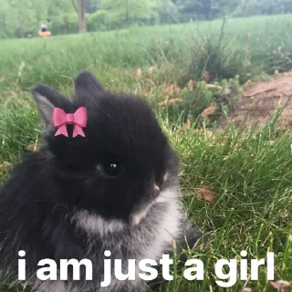 Телеграм стикер 🌟 про100 $тиль :: @fStikBot