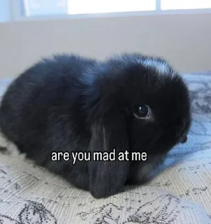 Телеграм стикер 🌟 про100 $тиль :: @fStikBot