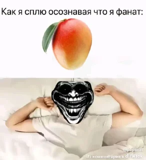 Video sticker 🤩 Манго стикеры @StickeriSTrollfacemi