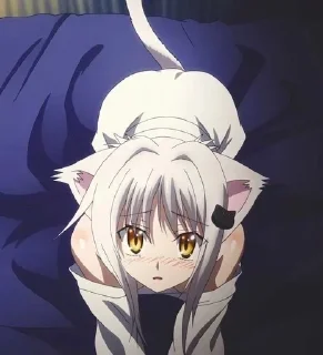 Telegram sticker 😍 Члены