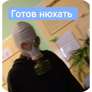 Telegram sticker 🎢 Члены