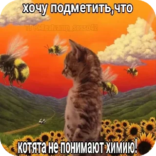 Telegram sticker 🐱 Члены