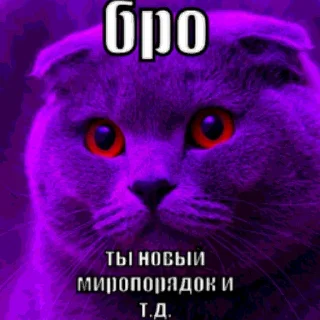 Telegram sticker 🔥 Бро, ты умрешь и т.д. @forsakenlil