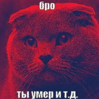 Video sticker ✅ Бро, ты умрешь и т.д. @forsakenlil