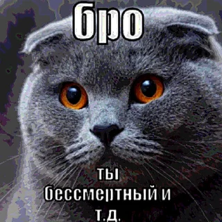 Telegram sticker 💀 Бро, ты умрешь и т.д. @forsakenlil