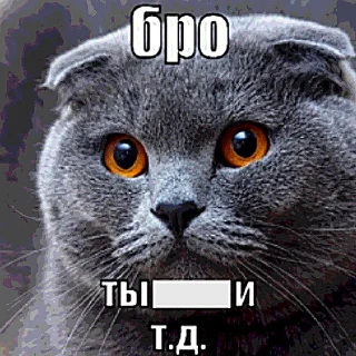 Telegram sticker 💀 Бро, ты умрешь и т.д. @forsakenlil