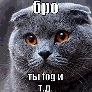 Telegram sticker 🌫️ Бро, ты умрешь и т.д. @forsakenlil