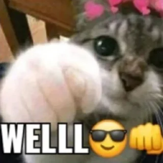 Телеграм стикер 😘 meme ito @papiabel
