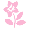 Video sticker 🌷 mining is @bmcforum