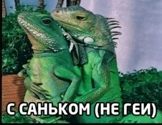 Telegram stiker 🌟 мемы и приколы :: @fStikBot