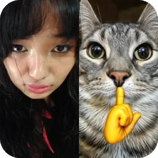 Telegram sticker 🐱 Kysniggerss