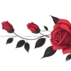 Video sticker 🌹 Рᥲᤋдᥱ᧘�...