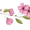 Video sticker 〰 Рᥲᤋдᥱ᧘�...