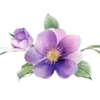 Sticker 〰 Рᥲᤋдᥱ᧘ᥙᴛᥱ᧘ᥙ №4 @miki_stick