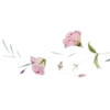 Sticker 〰 Рᥲᤋдᥱ᧘ᥙᴛᥱ᧘ᥙ №4 @miki_stick