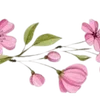 Video sticker 〰 Рᥲᤋдᥱ᧘�...