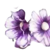 Video sticker 〰 Рᥲᤋдᥱ᧘�...