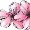 Sticker 〰 Рᥲᤋдᥱ᧘ᥙᴛᥱ᧘ᥙ №4 @miki_stick