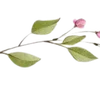 Video sticker 〰 Рᥲᤋдᥱ᧘�...