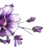 Video sticker 〰 Рᥲᤋдᥱ᧘�...