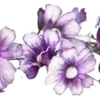 Video sticker 〰 Рᥲᤋдᥱ᧘�...