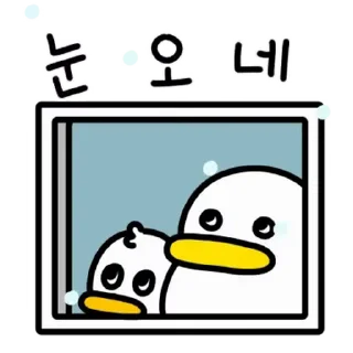 Video sticker ⭐ 꽉꽉꽉! 으츄으츄! 곽철이 @moe_sticker_bot