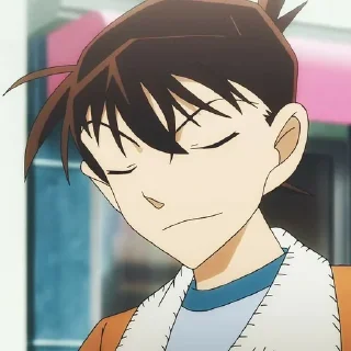 Telegram sticker 🎲 Shinichi Kudo @animeborutogo @yuuyaicon
