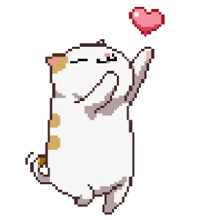 Video sticker ❤️ Daily usable @fixfox @sharkhd