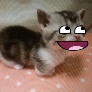 Telegram sticker 🐱 Больше стиков тут: @stikery4