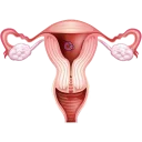 Video sticker 🚺 Yoni