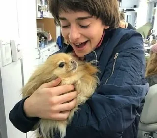 Telegram stiker 🌟 Will Bayers by Serfa