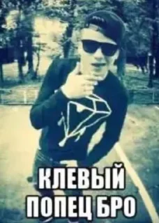 Video sticker ☺️ э ну бля  @fStikBot
